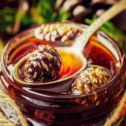 Çam Kozalağı Pekmezi 